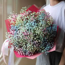 Bouquet of 15 branches of rainbow gypsophila