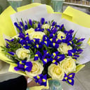 Ramo 'Auroras boreales'