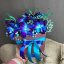 Blumenbox 'Orchidee'