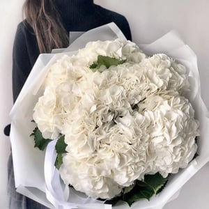 Bouquet 'Hortensia-mono “Cloud”'