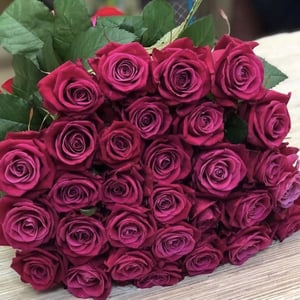 Bouquet 'Herald of Summer'