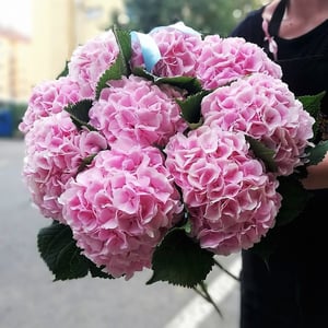 Blumenstrauß 'Magische Hortensie'