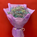 Ramo 'Rainbow gypsophila'