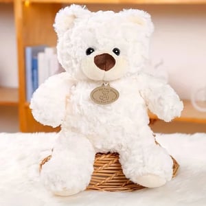 White Plush Teddy Bear