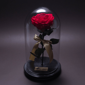 Stabilized Red Rose in a Flask