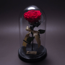 Stabilized Red Rose in a Flask