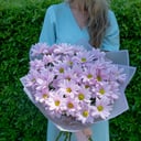 Bouquet of pink chrysanthemums 7 pieces