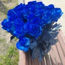 Ramo '25 rosas azules'
