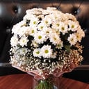 White chrysanthemum bouquet with gypsophila