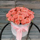 31 pink roses in a hatbox