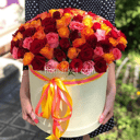 101 rosas en una caja