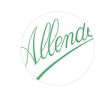 Flores Allende