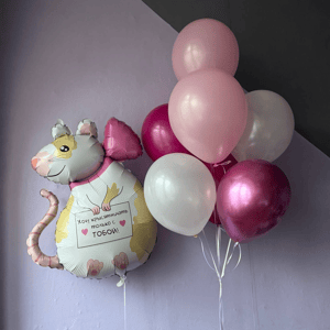 Conjunto de globos Ratón