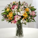 Bouquet of 25 alstroemerias