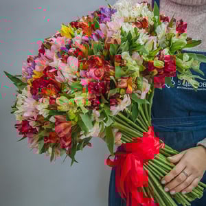 Bouquet of 101 alstroemerias mix