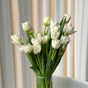 Ramo '19 tulipanes blancos'