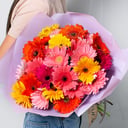 Bouquet of gerberas 25 pcs