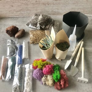 Do-it-yourself set for florarium