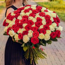 Bouquet of 101 red and white roses