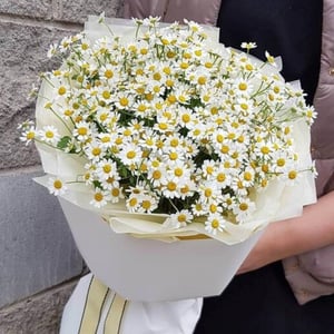 Bouquet of Matricaria