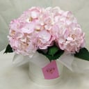 Teddy bear in daisies