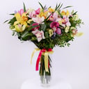 Vanilla cloud: 18 colorful orchids