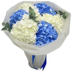 Bouquet of 6 hydrangeas