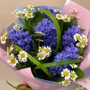 Bouquet 'Breath of spring'