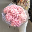 Ramo 'Bouquet of pink hydrangea'