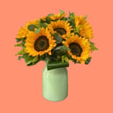 Arrangement 'Sun Sparks'