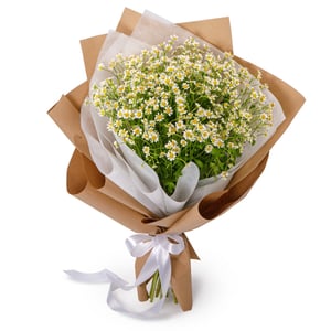 Bouquet of 15 daisies