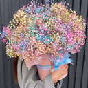 Blumenbox 'Gypsophila'