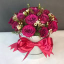 Blumenbox 'Himbeersorbet'