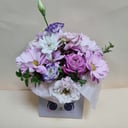 Flower box 'Cute cat'