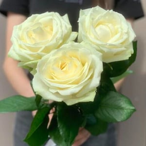 Blumenstrauß 'Weißer Rosenstrauß'