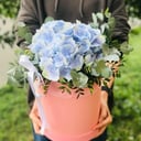 Arrangement 'Blue Lagoon'