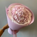 Ramo 'Hortensia rosa'