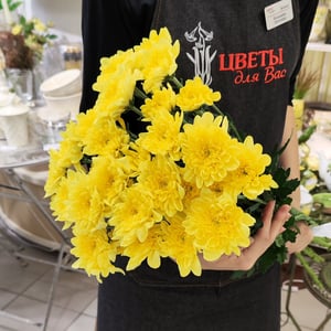 Bouquet of 5 Yellow Bush Chrysanthemums