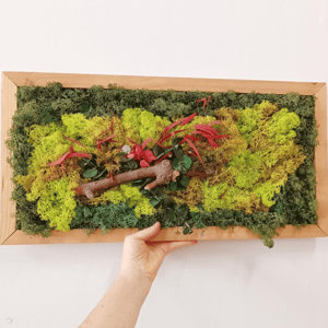 Jardín vertical de musgo