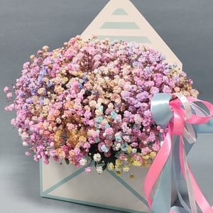 Boîte à fleurs 'Gypsophile arc-en-ciel dans une enveloppe'