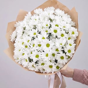 Bouquet of 15 white chrysanthemums, 50 cm long