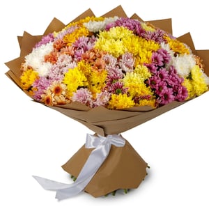 Ramo 'Bouquet of 51 spray chrysanthemums'