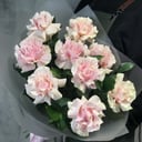 9 delicate French roses