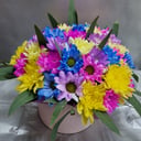 Hat box with flowers 'Colored chrysanthemum'