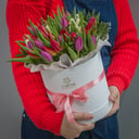 Blumenbox 'Hallo Tulpe'