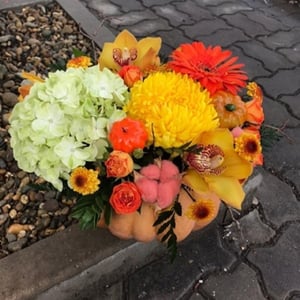 Composition florale 'Citrouille en fleurs'