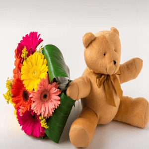 Bouquet of 8 Gerberas and Teddy Bear