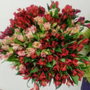 Blumenstrauß 'Alstroemeria'