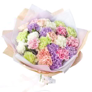 Mixed bouquet of 25 carnations