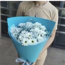 Blumenstrauß 'Gänseblümchen'